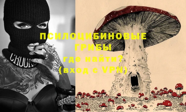 мдпв Арсеньев