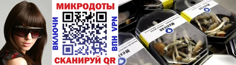 Псилоцибиновые грибы Cubensis Губаха