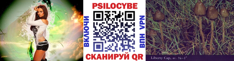 Псилоцибиновые грибы GOLDEN TEACHER  цена   Губаха 
